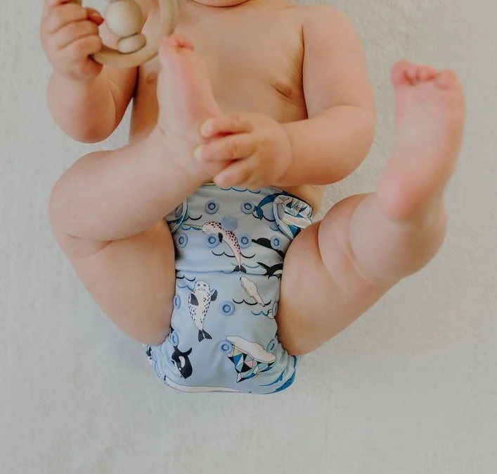 Icy Blues OSFM nappy with absorbent bamboo inserts displayed