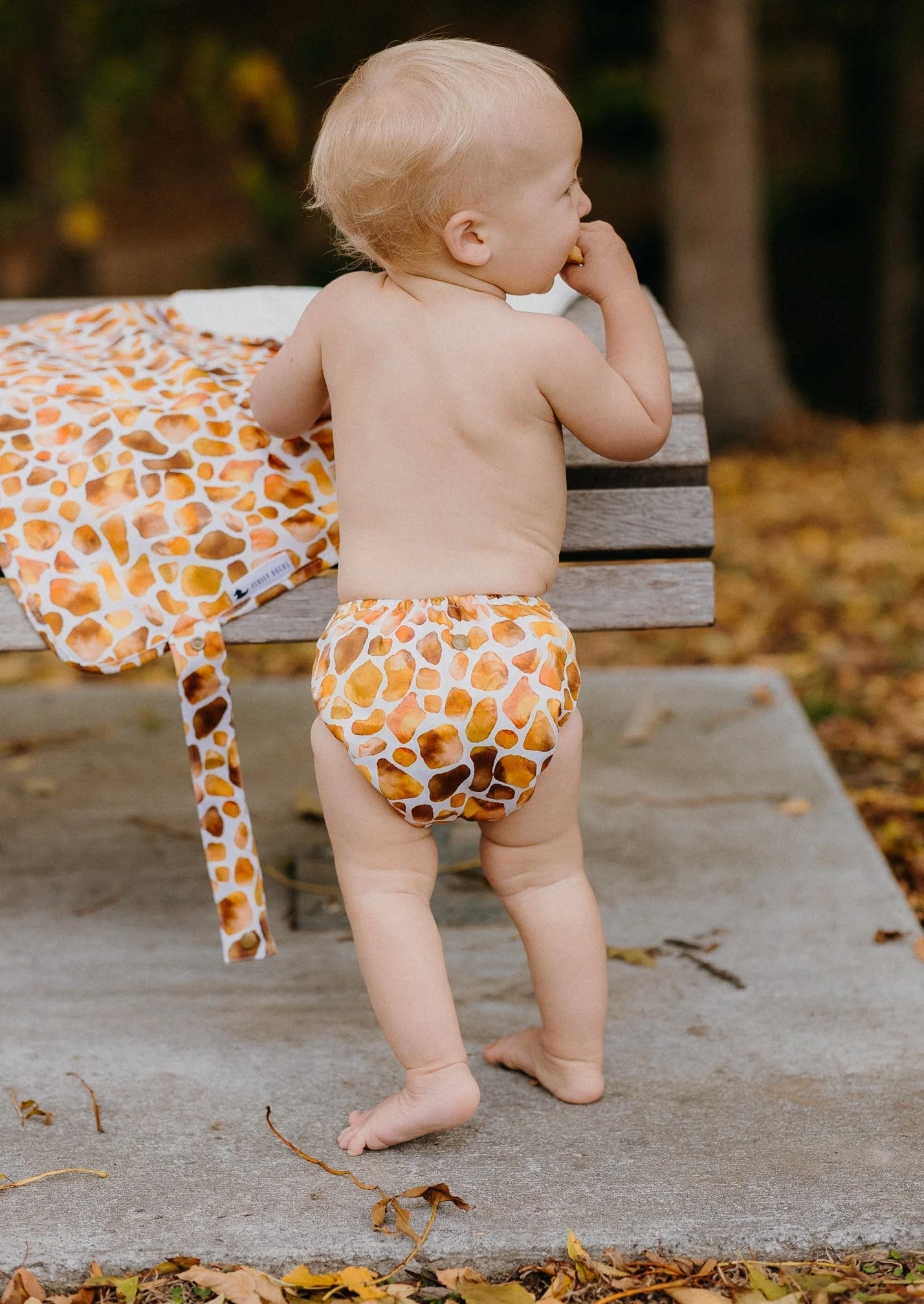 Inside view of Gerry Giraffe nappy with bamboo terry inserts