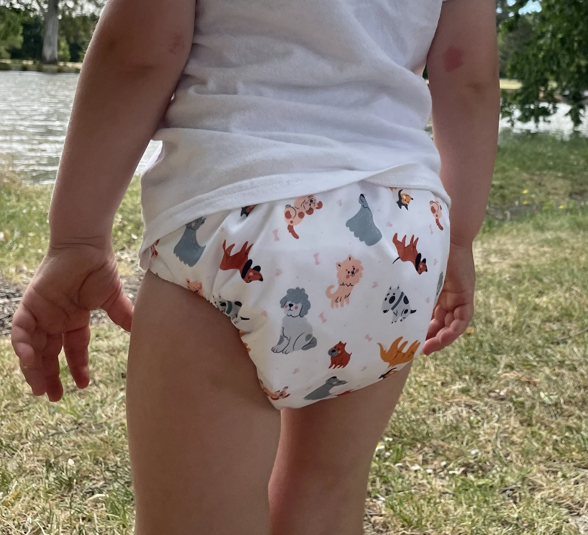 Close-up of Dogs OSFM nappy showing snap buttons and bamboo inserts