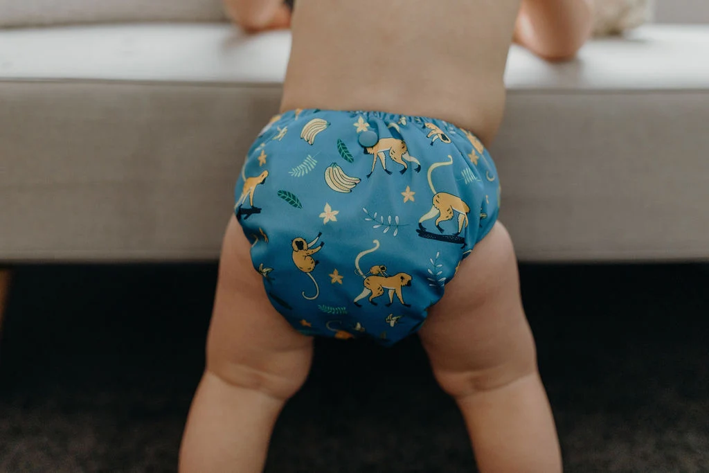 Inside view of Going Bananas nappy showing absorbent bamboo inserts
